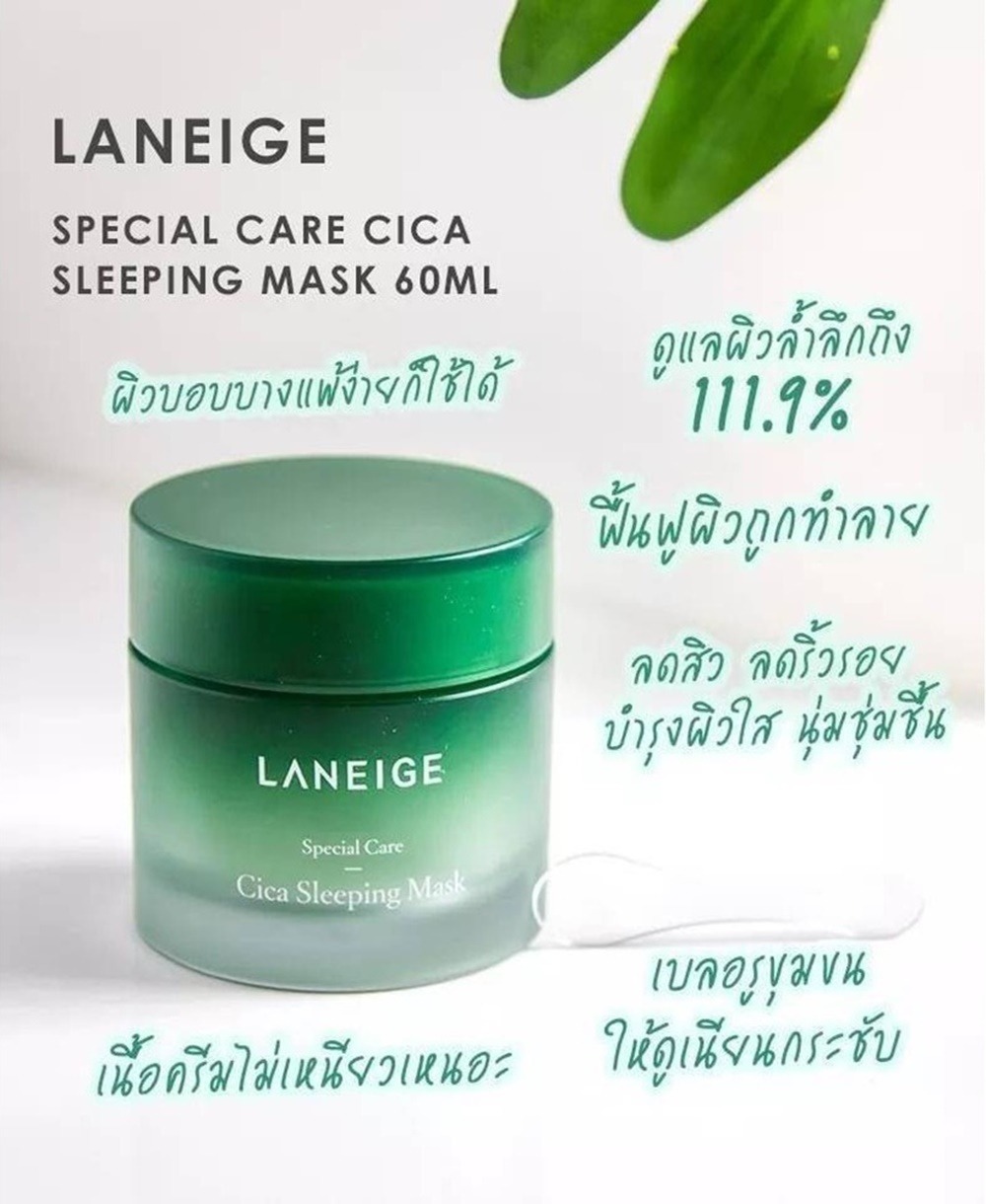 laneige cica sleeping mask รีวิว review